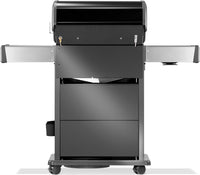 Napoleon Rogue® PRO-S 425 Schwarz RSIB  mit Infrarot-Seiten- und Heckbrenner