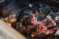 Napoleon - Holzkohleeinsatz und Räuchereinheit