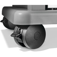 Rogue® PRO-S 525 RSIB  mit Infrarot-Seiten- und Heckbrenner
