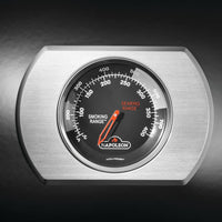 Napoleon Rogue® PRO-S 425 Schwarz RSIB  mit Infrarot-Seiten- und Heckbrenner