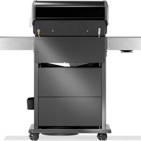 Napoleon Rogue® PRO-S 425 Schwarz RSIB  mit Infrarot-Seiten- und Heckbrenner
