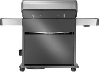 Rogue® PRO-S 525 RSIB  mit Infrarot-Seiten- und Heckbrenner
