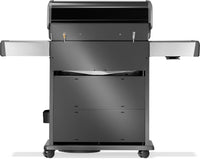 Rogue® PRO-S 525, Schwarz - mit Gussrosten
